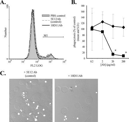 FIG. 1.