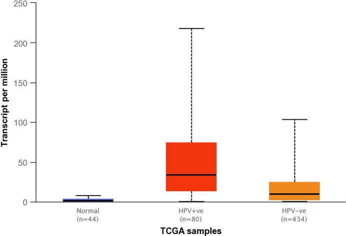 FIGURE 3