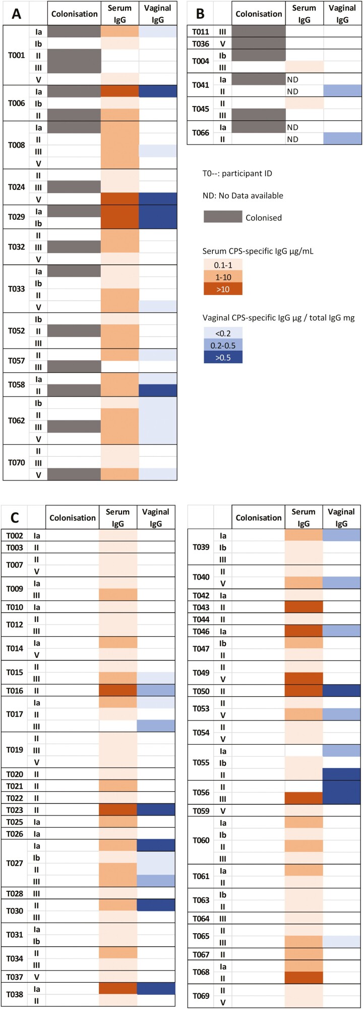 Figure 6: