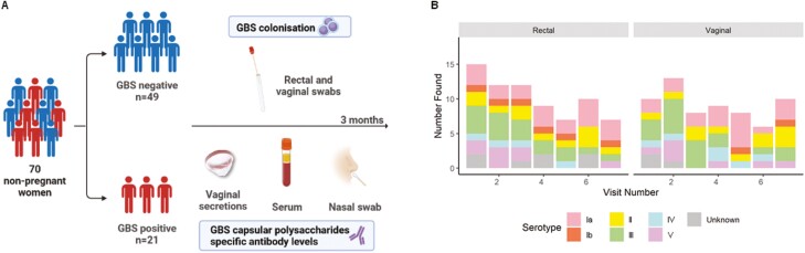 Graphical Abstract