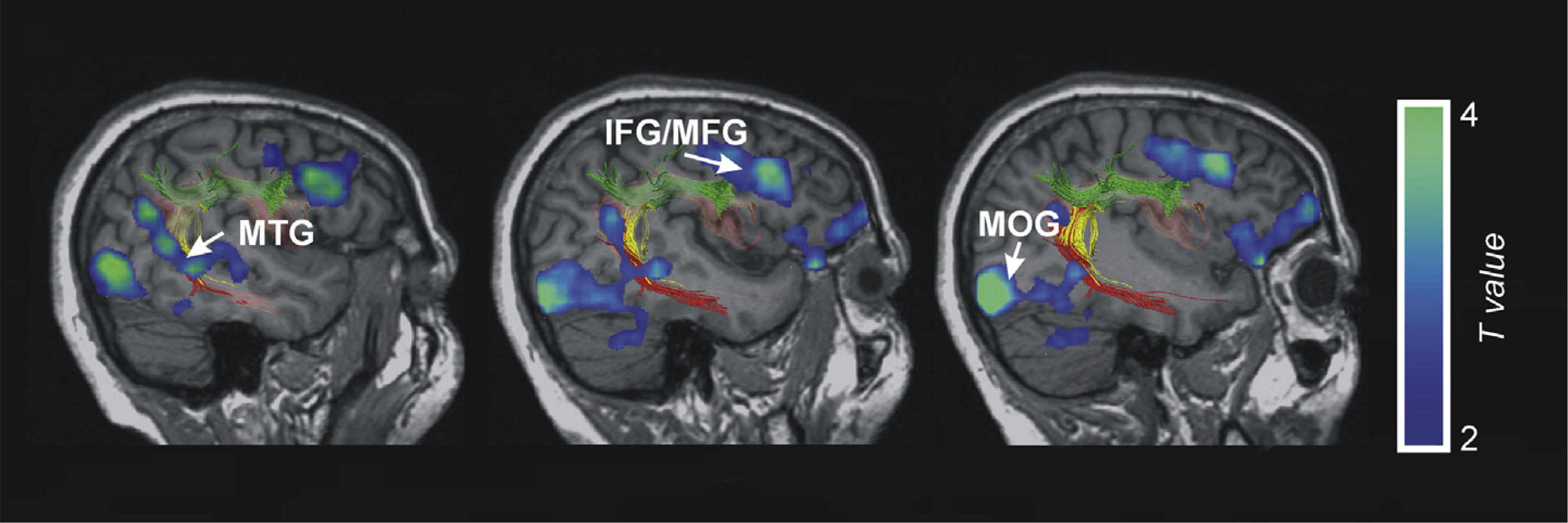 Fig. 6 –