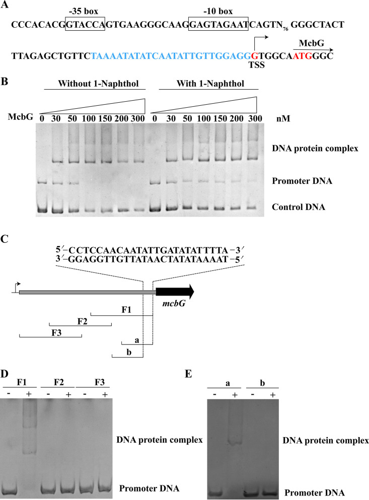 FIG 7