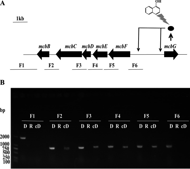 FIG 3