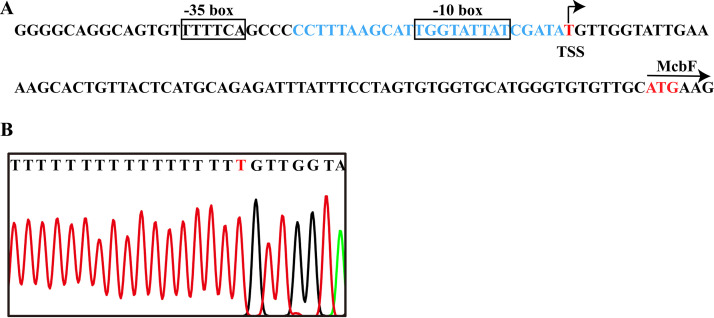 FIG 2