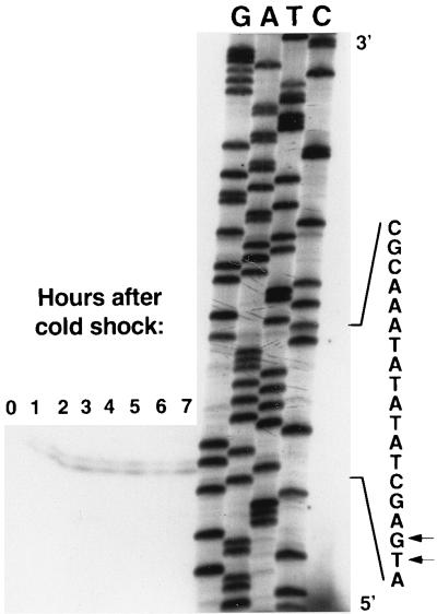 FIG. 5