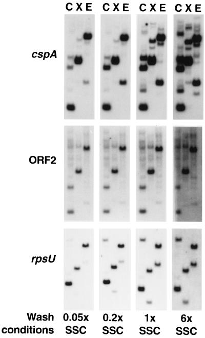 FIG. 8