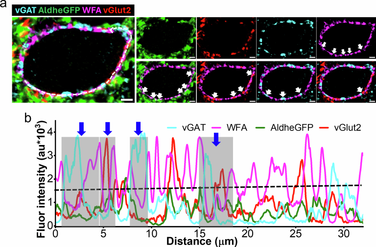 Extended Data Fig. 2