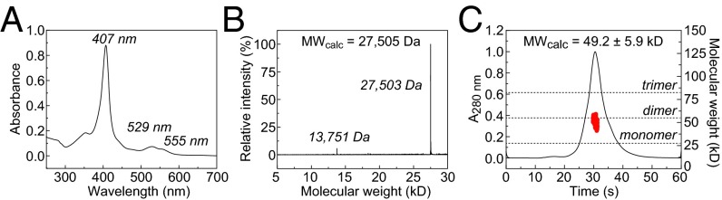 Fig. 3.