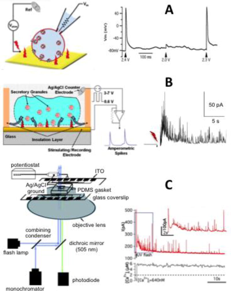 Fig 6