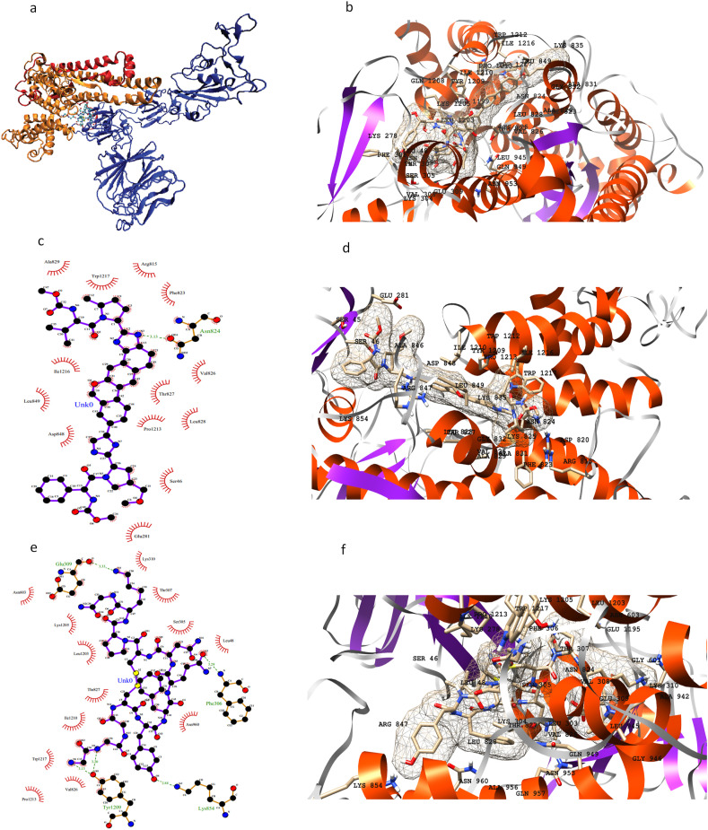 Fig. 6