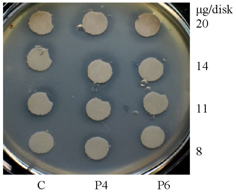 Figure 9