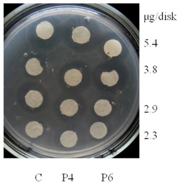 Figure 7