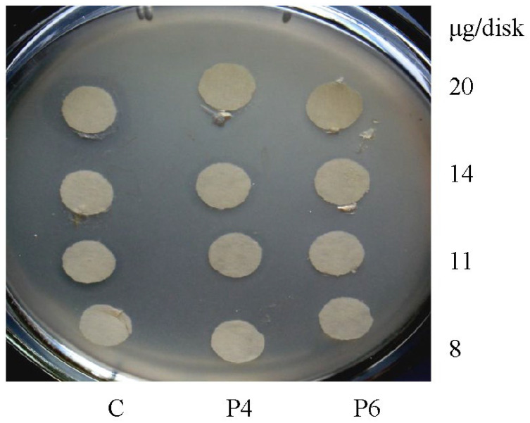 Figure 11