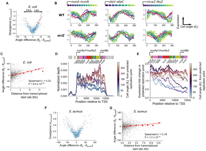 Figure 4: