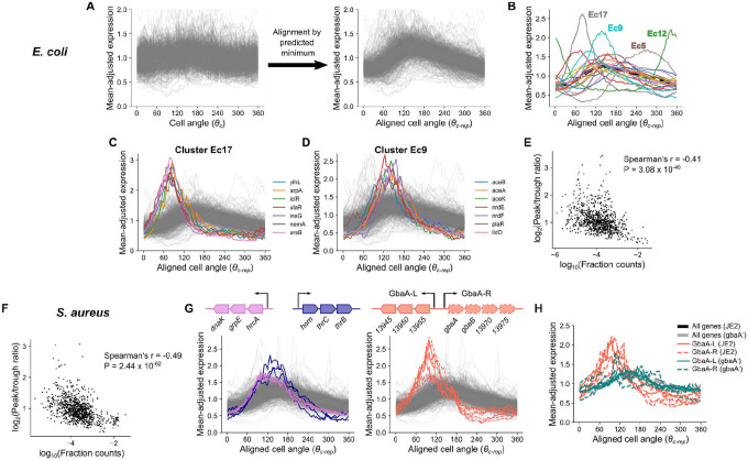 Figure 5: