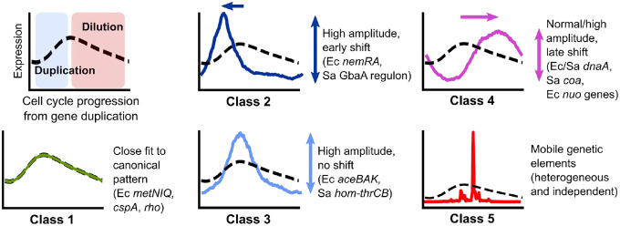 Figure 6: