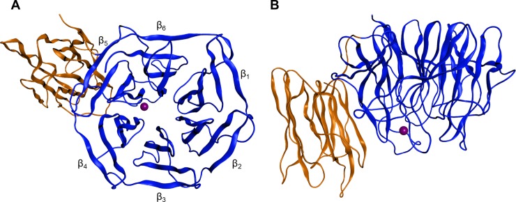 Fig 5