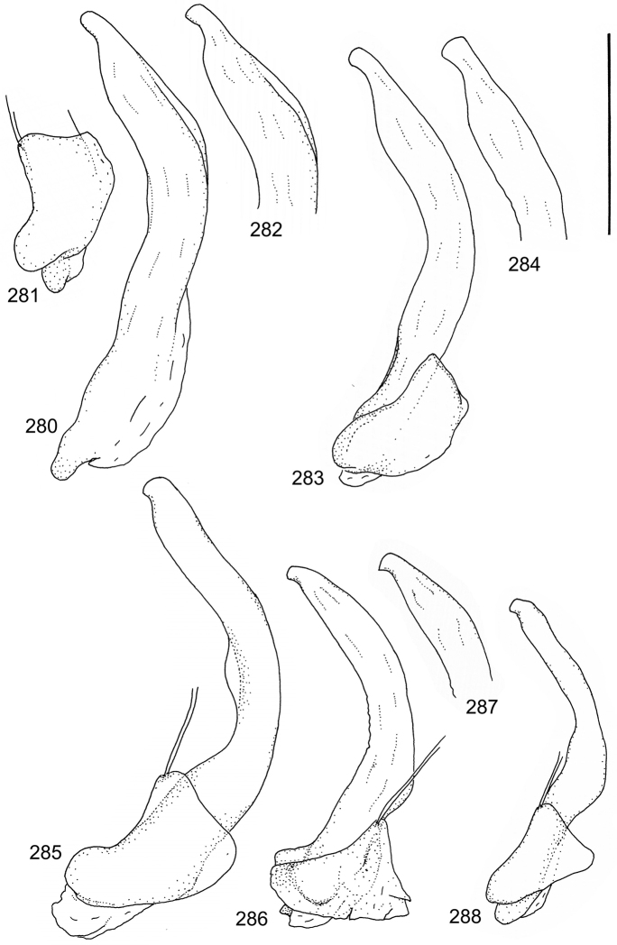 Figures 280–288.