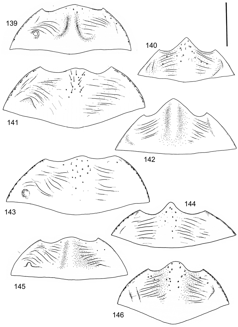 Figures 139–146.