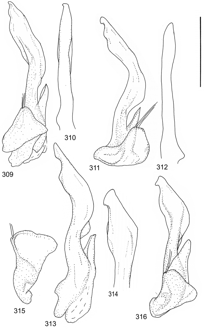 Figures 309–316.