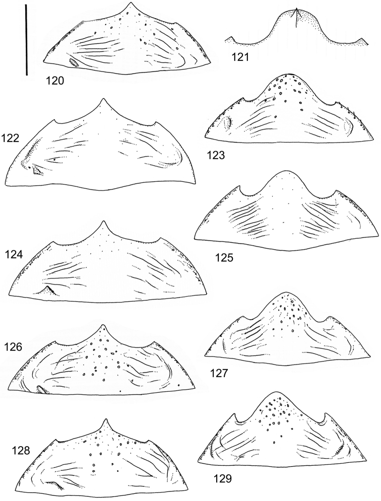 Figures 120–129.