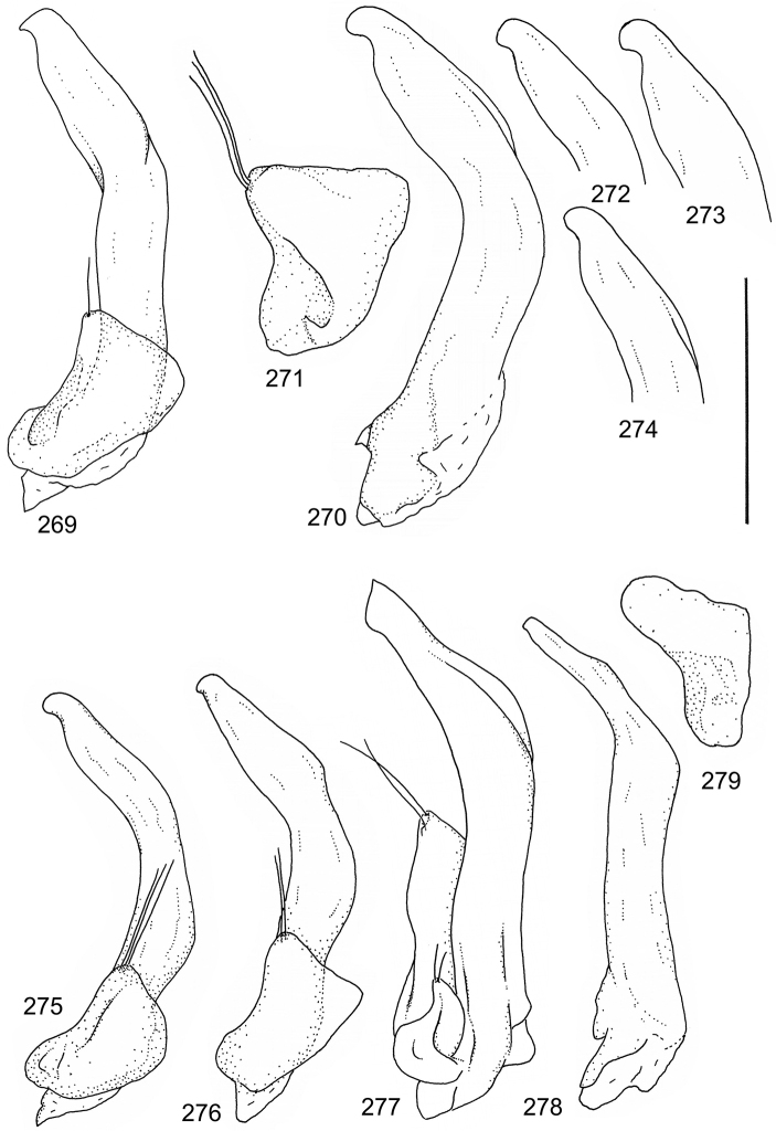 Figures 269–279.