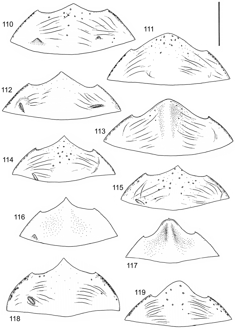 Figures 110–119.