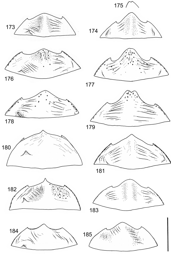 Figures 173–185.