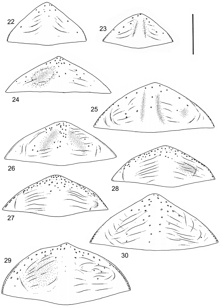 Figures 22–30.