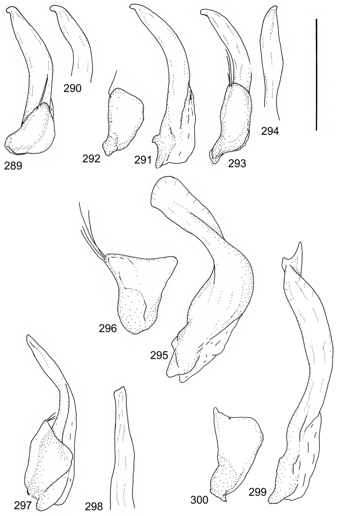 Figures 289–300.