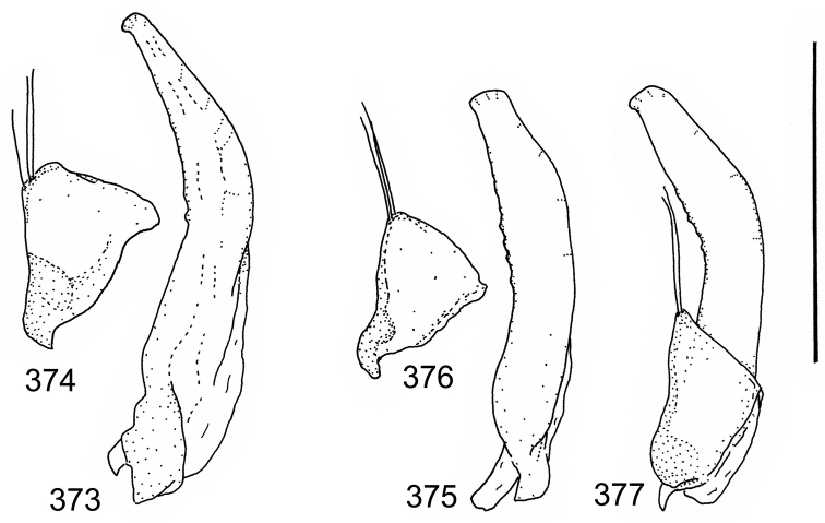 Figures 373–377.