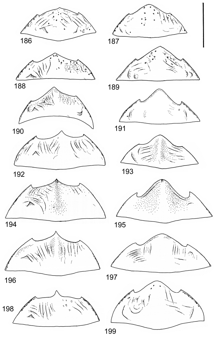 Figures 186–199.