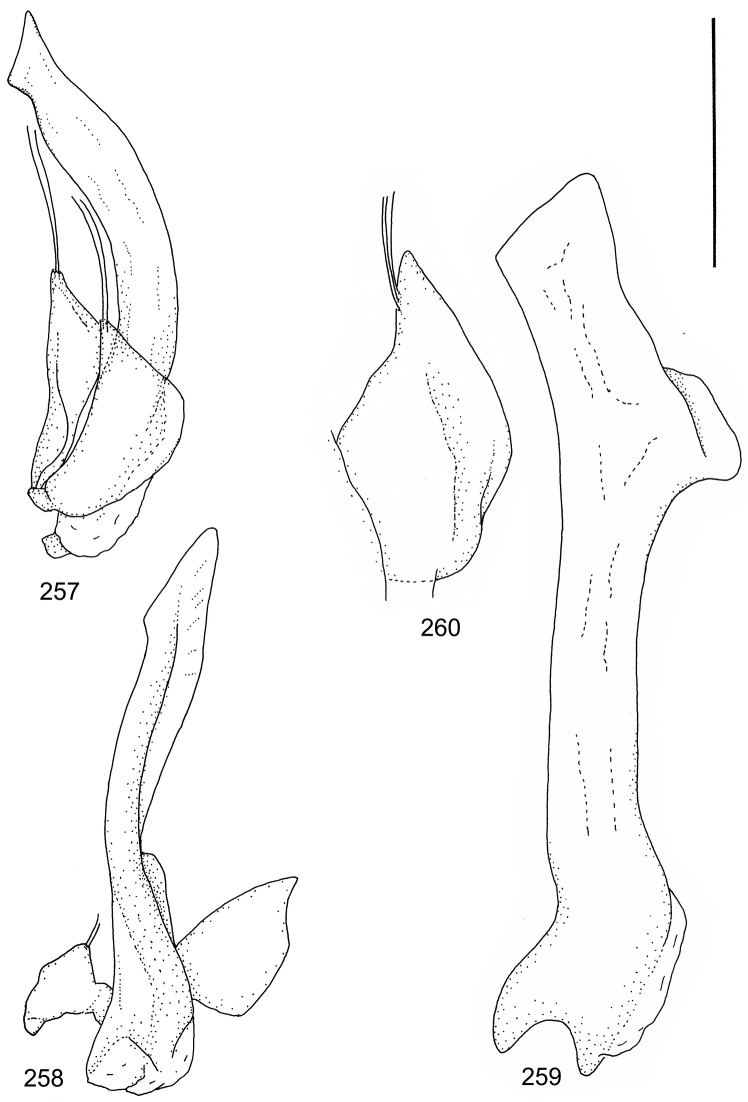 Figures 257–260.