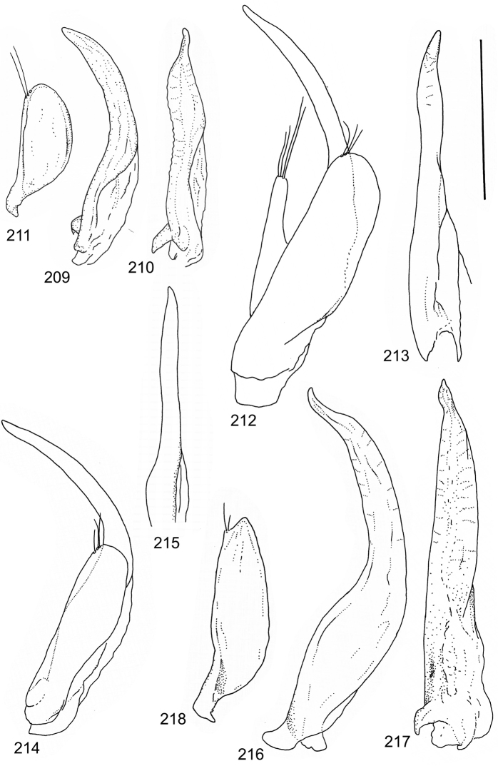 Figures 209–218.