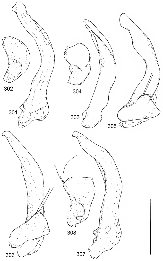 Figures 301–308.