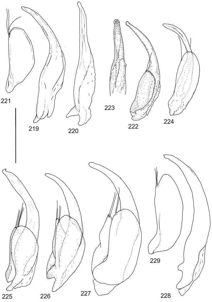 Figures 219–229.