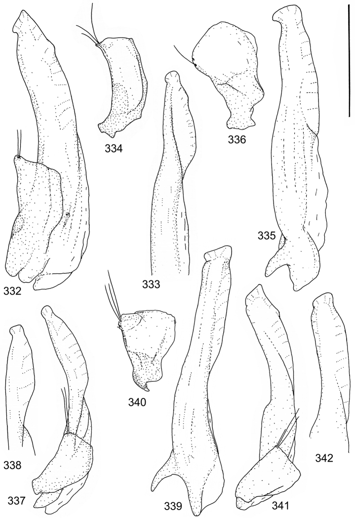 Figures 332–342.