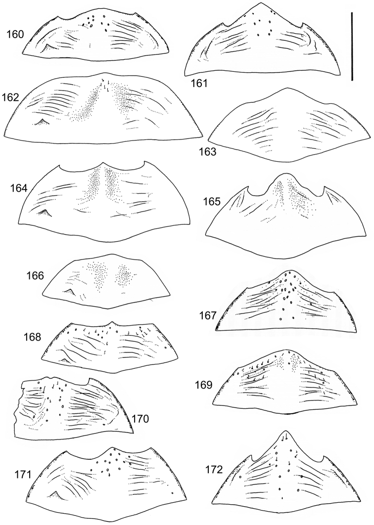 Figures 160–172.