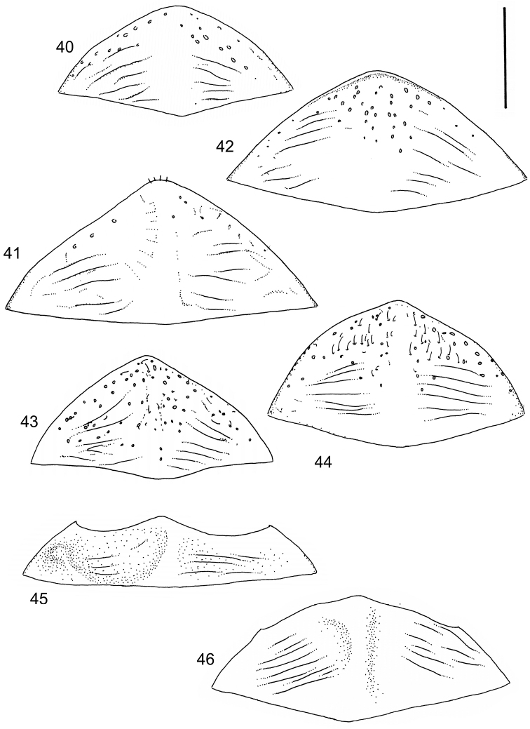 Figures 40–46.