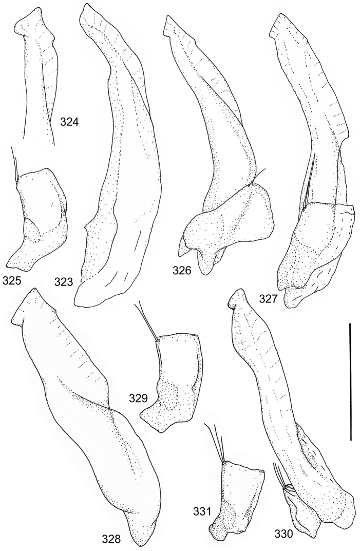 Figures 323–331.