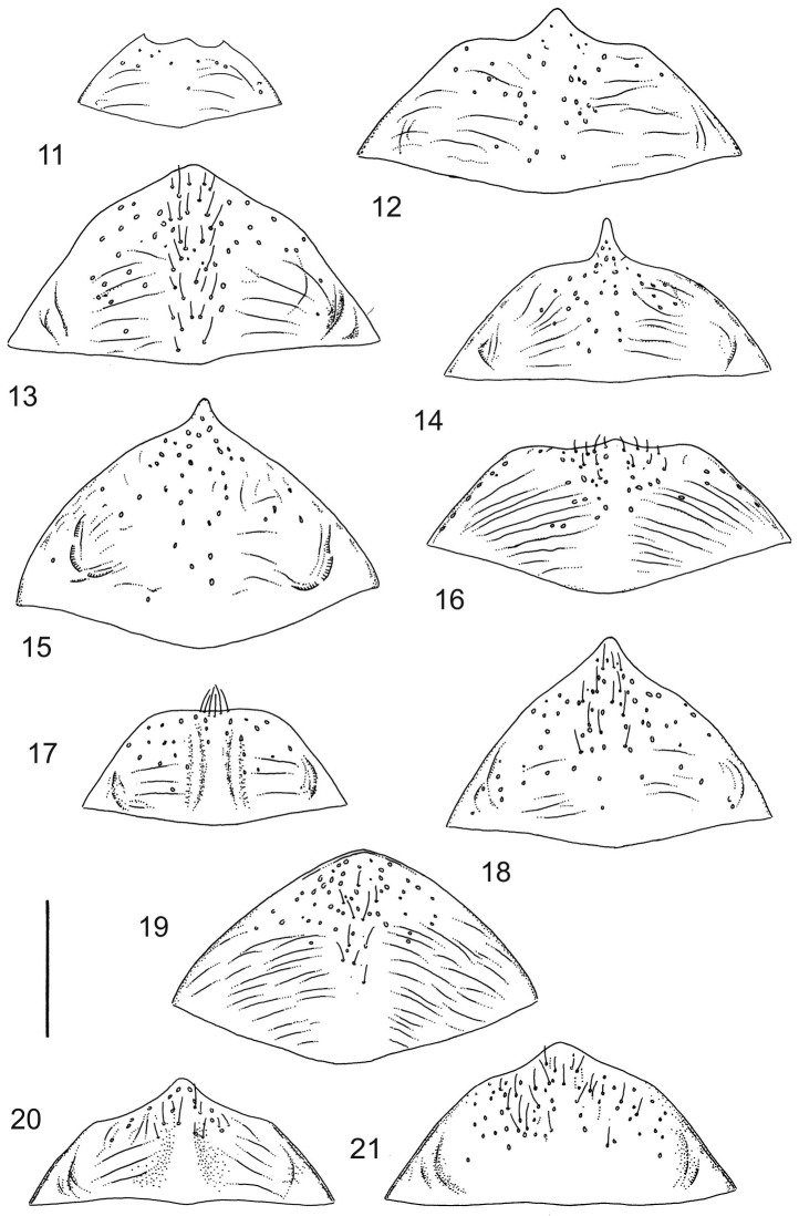 Figures 11–21.