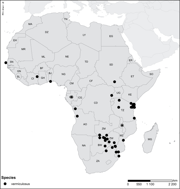 Figure 559.