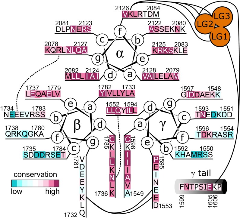 Fig. 6.