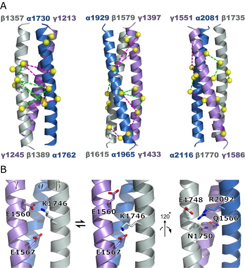 Fig. S1.