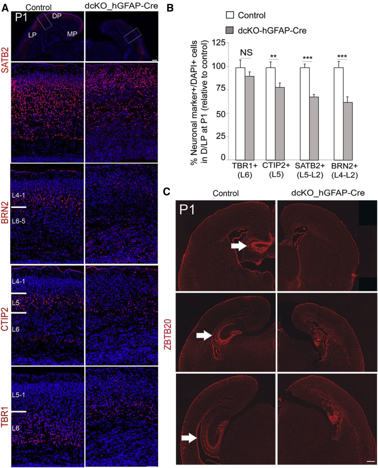 Figure 3