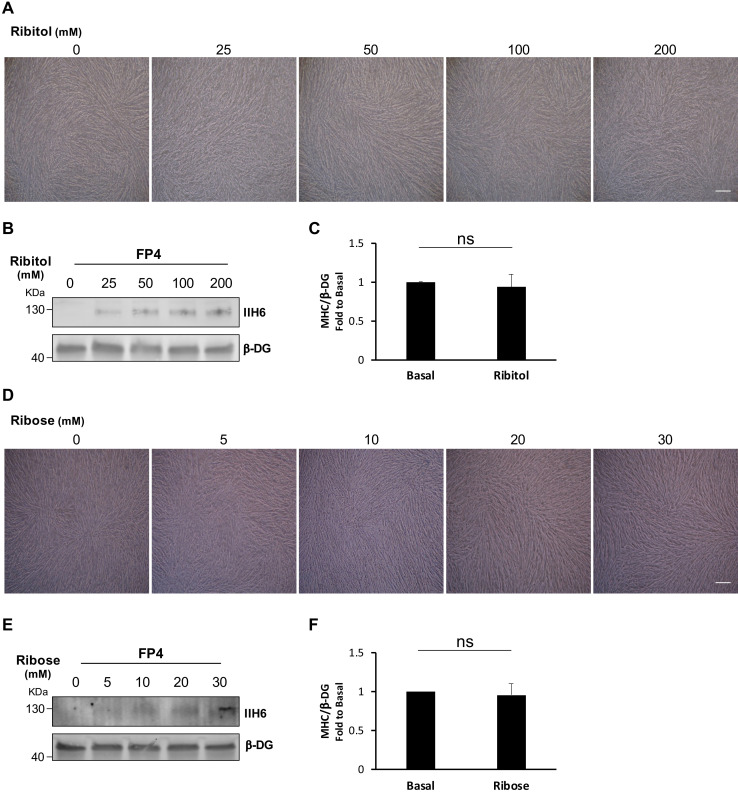 Figure 2—figure supplement 1.