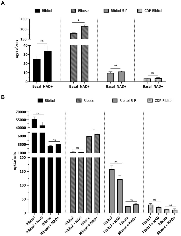 Figure 4—figure supplement 2.