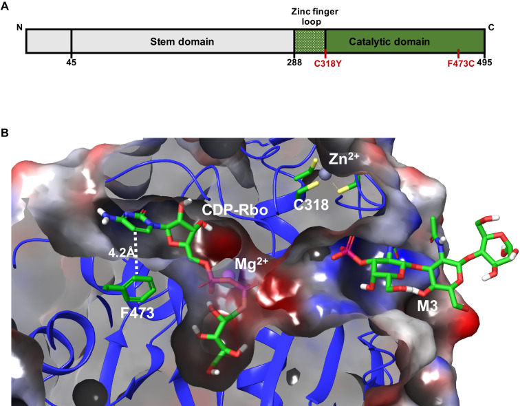 Figure 6.