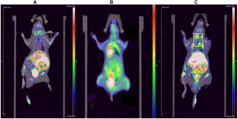 FIGURE 3