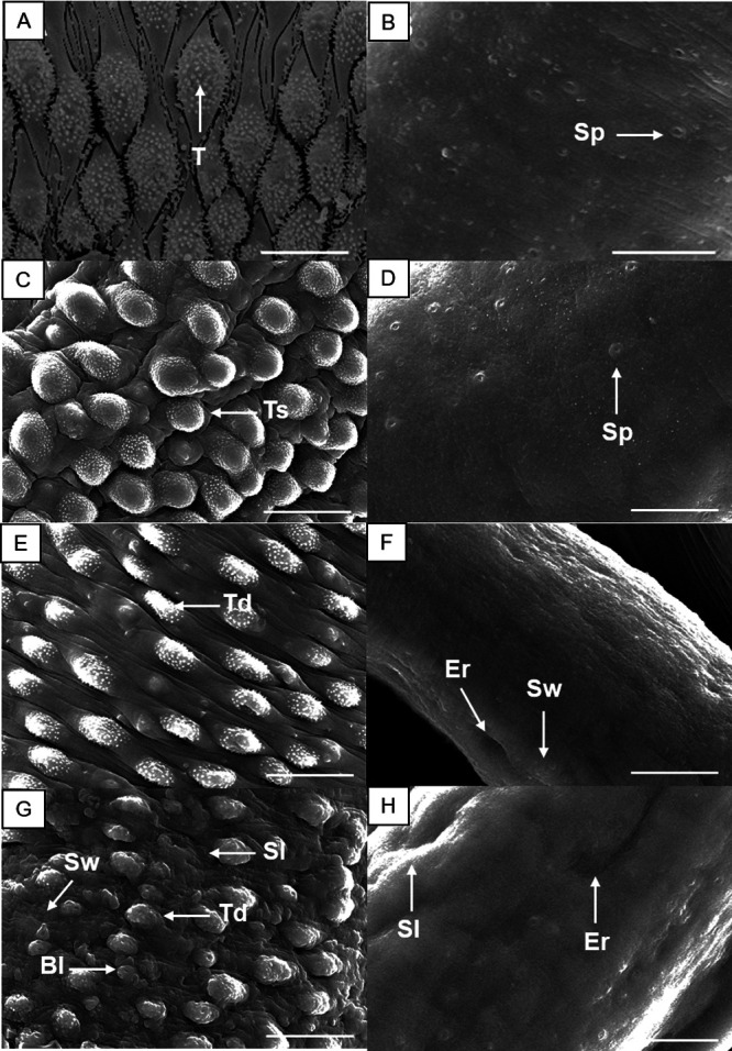 FIG 2